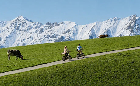 Compact Electric Bike - L20 3.0 Boost for Hill Starts and Junctions