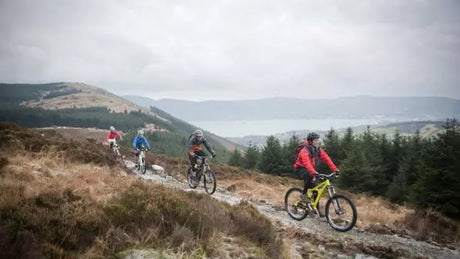 Step-Through, Step-Over, Longtail, Folding, and Integrated: Which E-Bike Frame Design is Best for You?