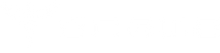 Engwe logo